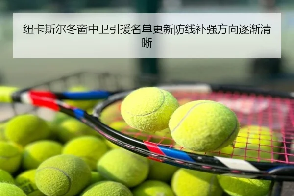 纽卡斯尔冬窗中卫引援名单更新防线补强方向逐渐清晰